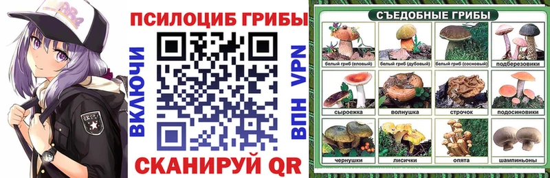 Галлюциногенные грибы GOLDEN TEACHER  Купить где  Котлас 